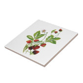 春フレッシュイチゴ刺繍 タイル (側面)