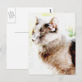 春フレンドPoStCaRd! ポストカード (正面/裏面)