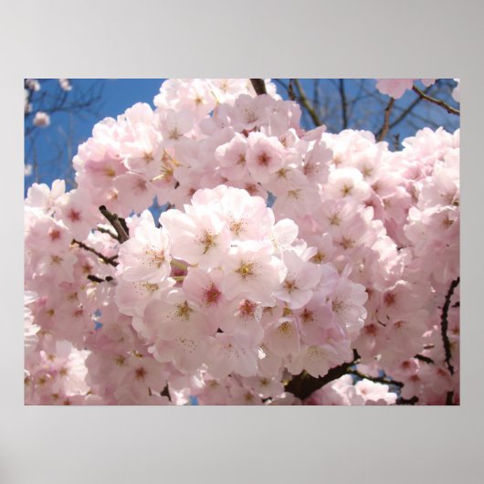 春フローラアートのポスターピンクの木の花 ポスター (正面)