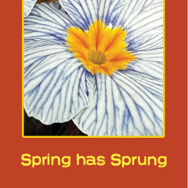 春フローラカラフル花