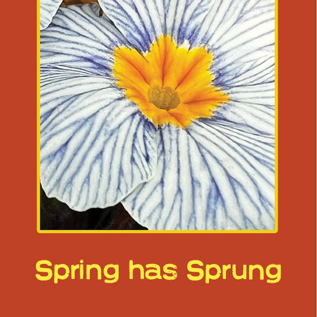 春フローラカラフル花 (クリエイターアップロード済み)