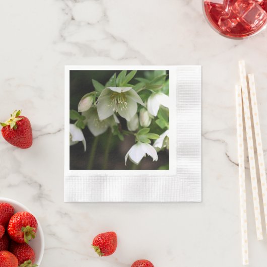 春フローラペーパーナプキン 縁ありカクテルナプキン (インサイチュ)