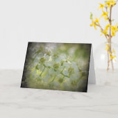 春フローラ カード (黄色い花)