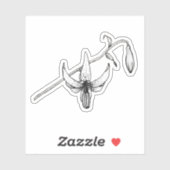 春フローラ |コロンビアリリー |ボタニカルステッカー シール (シート)