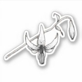 春フローラ |コロンビアリリー |ボタニカルステッカー シール (正面)