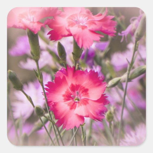 春フローラ スクエアシール (正面)