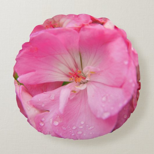 春フローラ ラウンドクッション (正面)