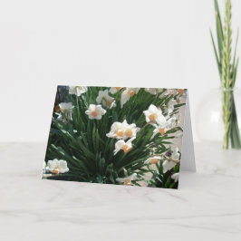 春ブラッズスリー シーズンカード