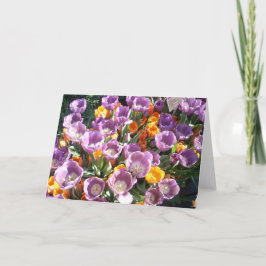 春ブラッズワン シーズンカード