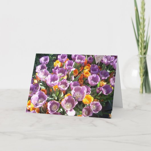 春ブラッズワン シーズンカード (正面)