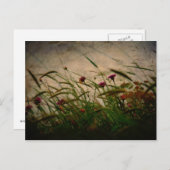 春ブリーズポストカード ポストカード (正面/裏面)