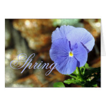 春ブルーパンシーany大事な行事カード