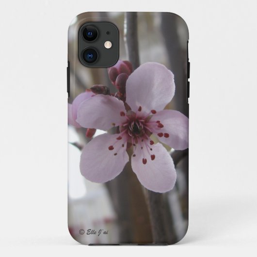 春ブロッサムiPhone 5ケース Case-Mate iPhoneケース (裏面)