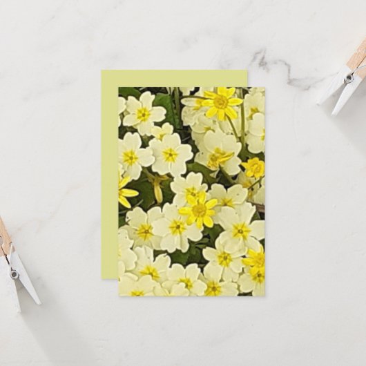 春プリムローズ カード (正面/裏面インサイチュ)