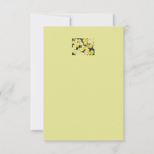 春プリムローズ カード (裏面)