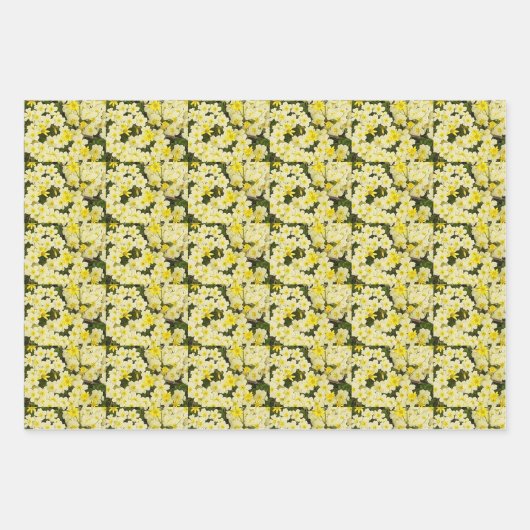 春プリムローズ ラッピングペーパーシート (正面)