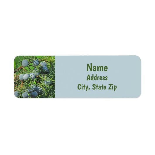 春ベリーフォトパインツリーエバーグリーンブランチ ラベル (正面)