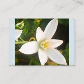 春ホワイト開花名刺 名刺 (裏面)