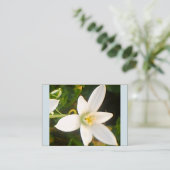 春ホワイト開花名刺 名刺 (スタンド正面)