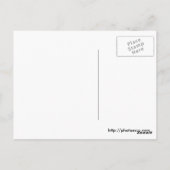 春ポイント、メイン ポストカード (裏面)