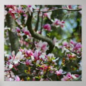 春ポスター ポスター (正面)