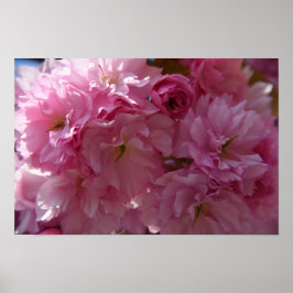 春ポスター ポスター