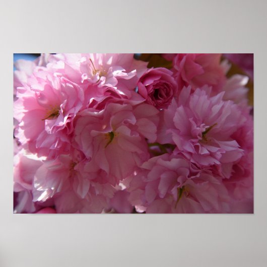 春ポスター ポスター (正面)