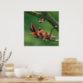 春ポスター ポスター (キッチン)