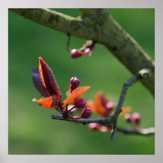 春ポスター ポスター (正面)