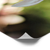 春マグノリアポスター ポスター (角)