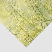 春マスタード 薄葉紙 (詳細)