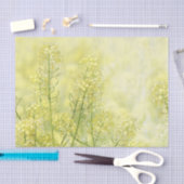 春マスタード 薄葉紙 (クラフト)