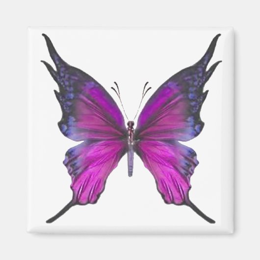 春ミスト3 マグネット (正面)