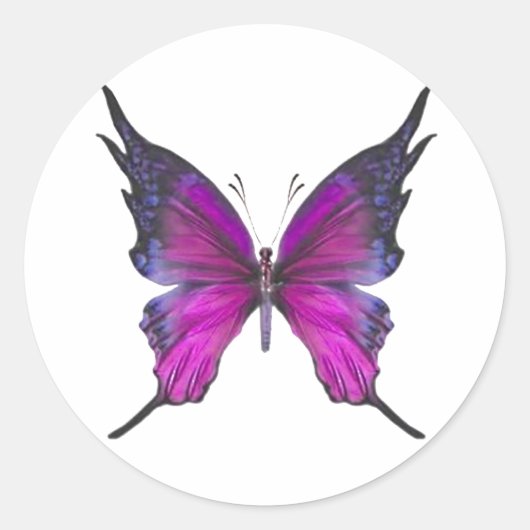 春ミスト3 ラウンドシール (正面)