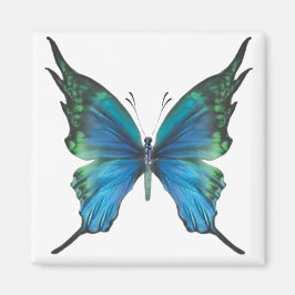 春ミスト マグネット