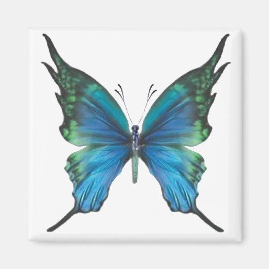 春ミスト マグネット (正面)