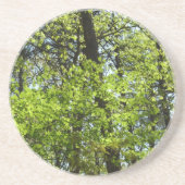 春メープル葉自然 コースター (正面)