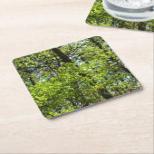 春メープル葉自然 スクエアペーパーコースター (アングル)