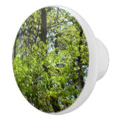 春メープル葉自然 セラミックノブ (右)