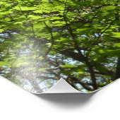 春メープル葉自然 フォトプリント            (角)