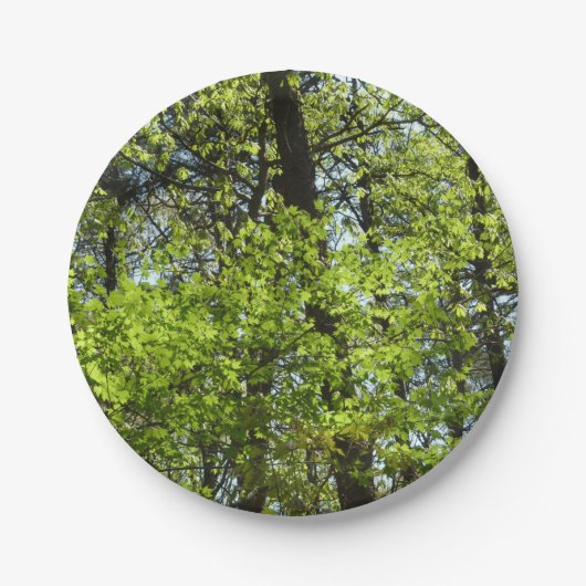 春メープル葉自然 ペーパープレート (正面)