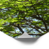 春メープル葉自然 ポスター (角)