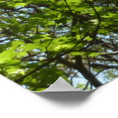 春メープル葉自然 ポスター (角)