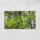 春メープル葉自然 名刺 (裏面)