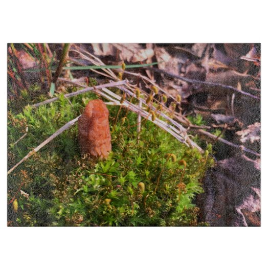 春モレル カッティングボード (正面)