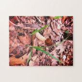 春モレル ジグソーパズル (横)