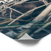 春モレル ポスター (角)