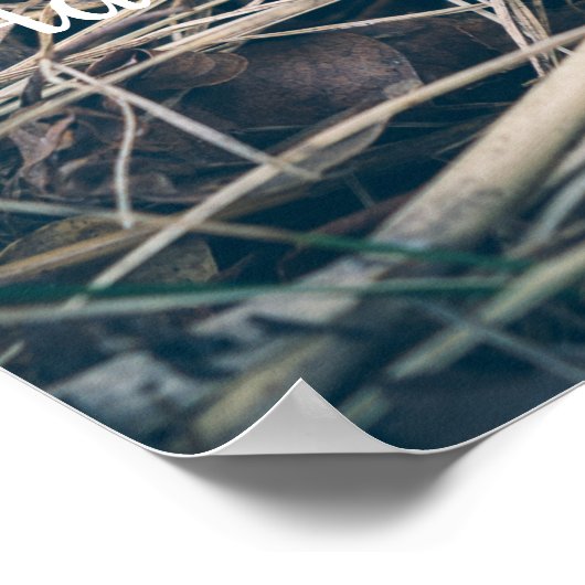 春モレル ポスター (角)