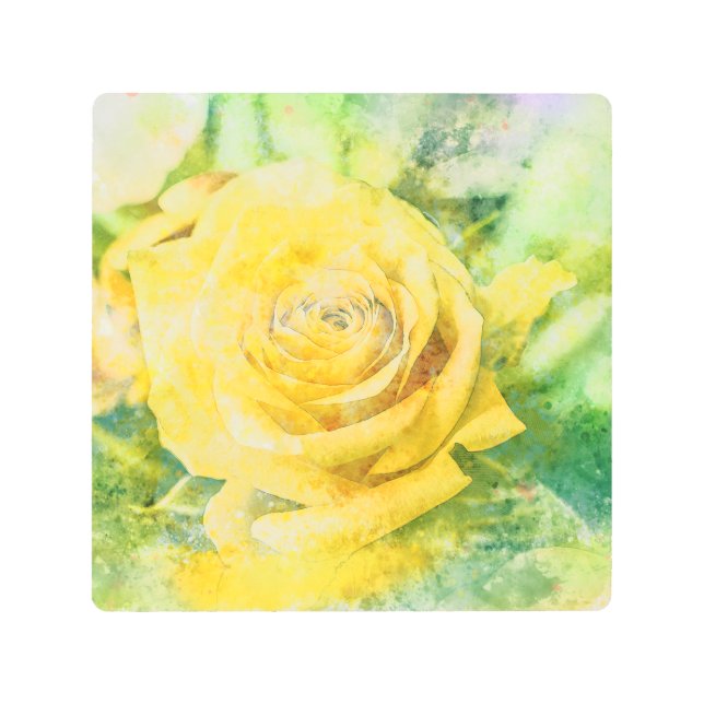 春モーニングイエローローズインパステルウォーター色 メタルプリント (正面)