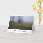 春モーニングオンパインレイク カード (黄色い花)